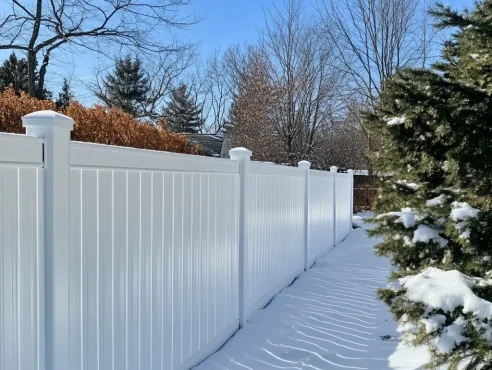 0_3-5-e1734047615435